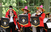 14th Jul 2014 - Mexican Hat Song