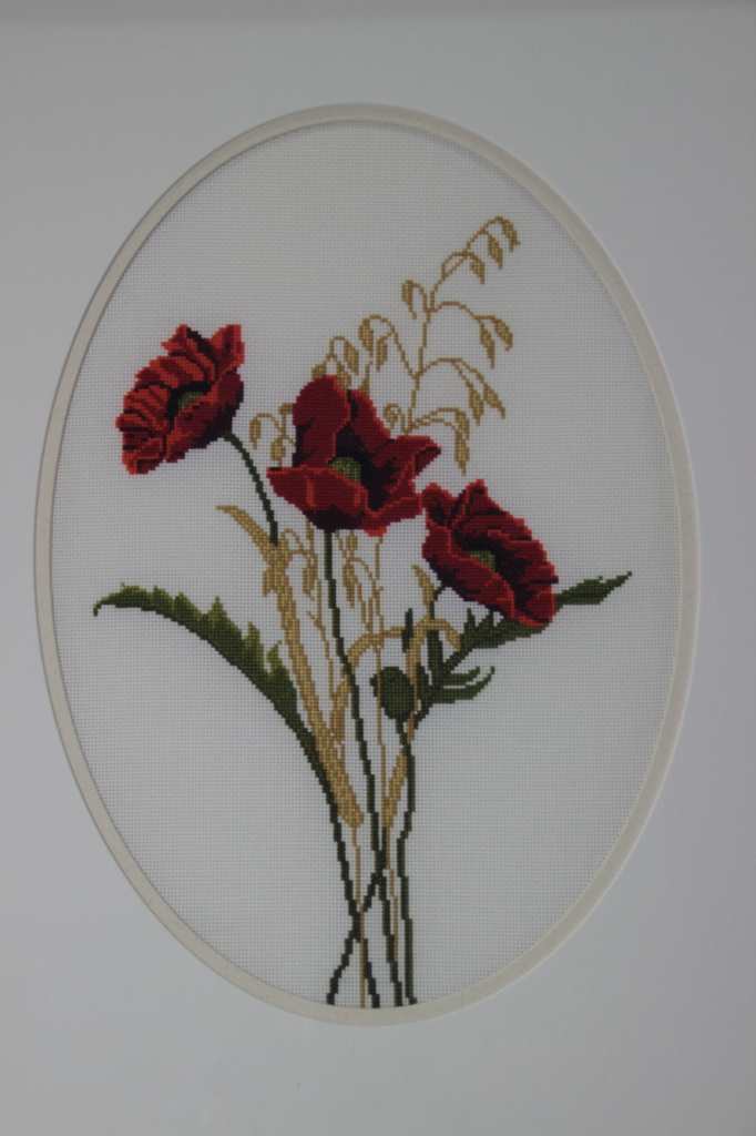 cross stitched poppies by summerfield