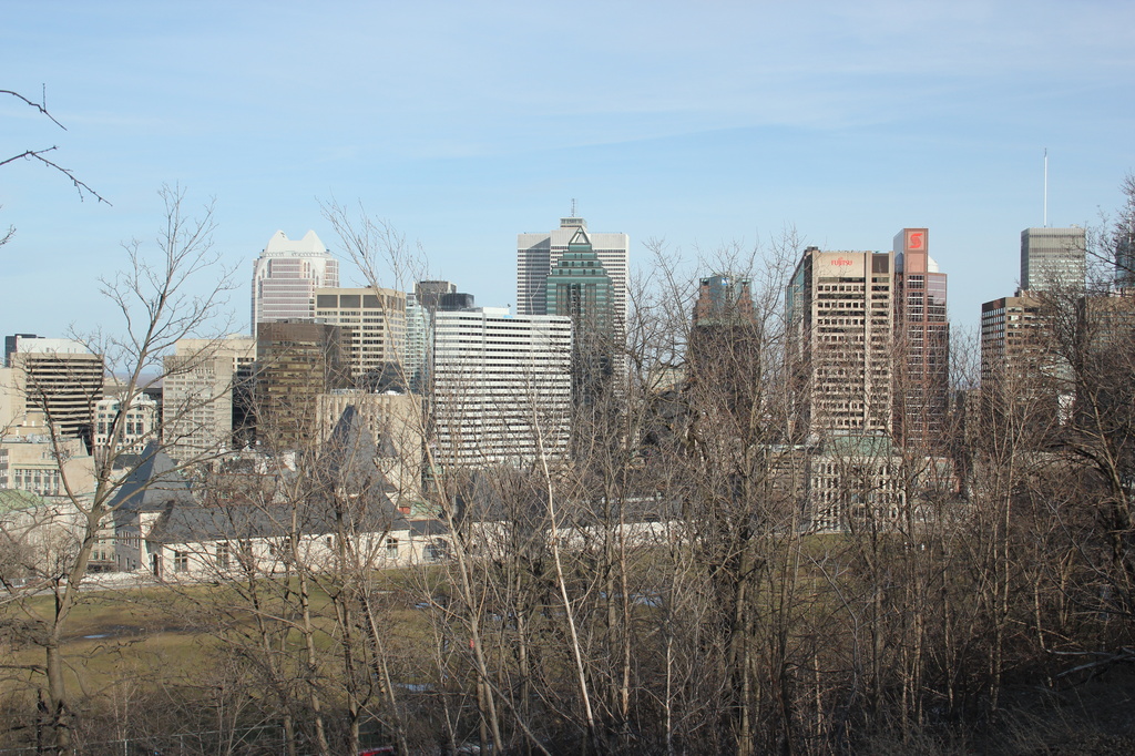 Downtown Montreal  looking from the parking lot. by hellie