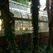 Greenhouse... by rosiekerr
