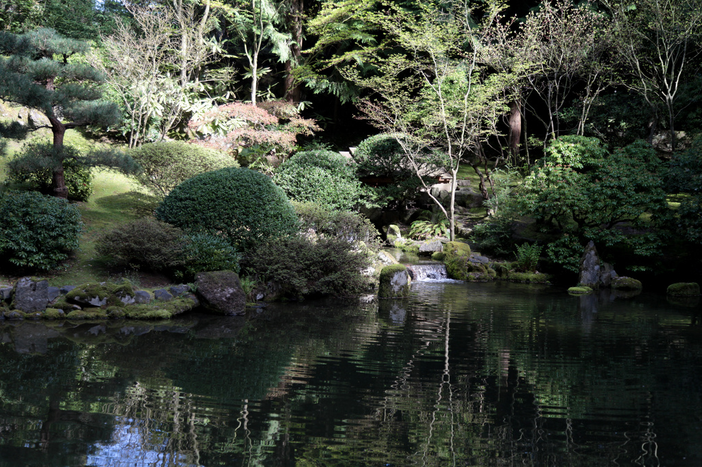 Japanese Garden by steelcityfox