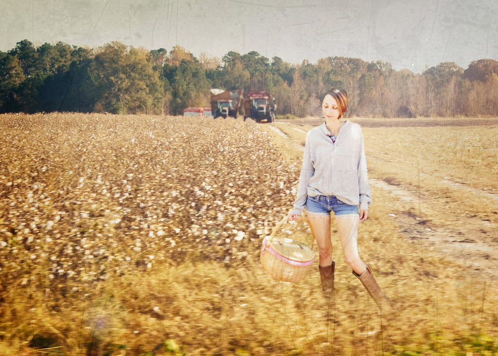 In the Cotton...  by fiveplustwo