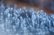 17th Jul 2014 - frostscape