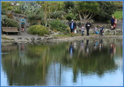 17th Jul 2014 - Off to feed the ducks