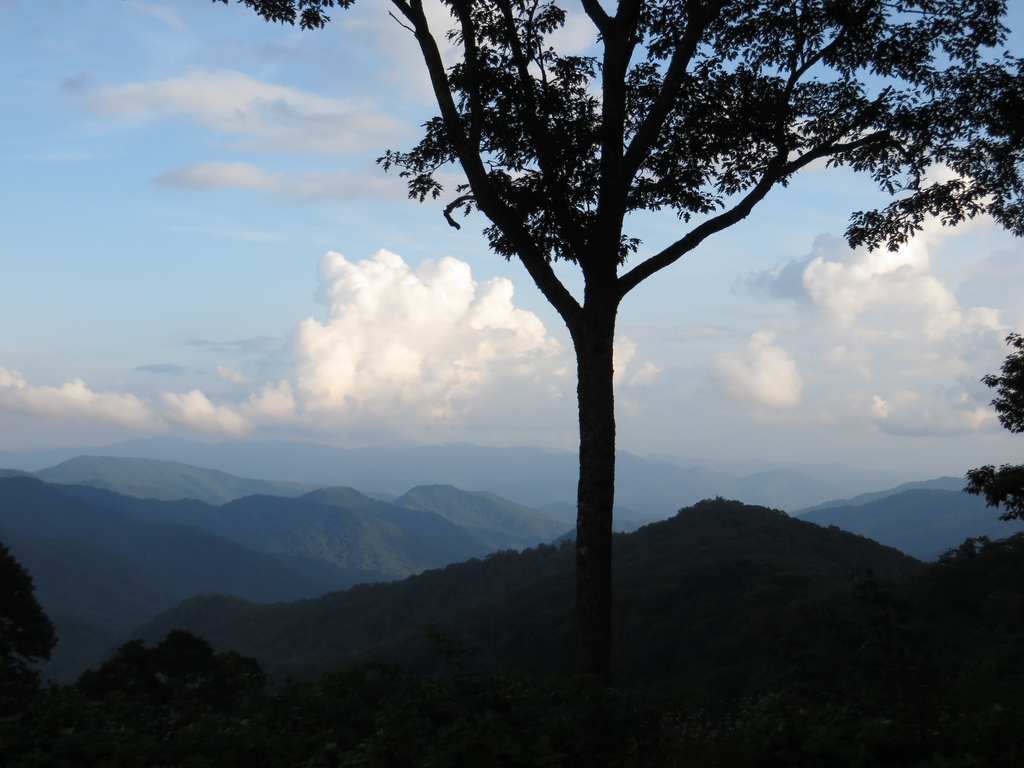 Beautiful drive through the Smoky Mountains by margonaut