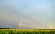 17th Jul 2014 - Double Rainbow, Blue Skyrays