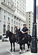 17th Jul 2014 - Detroit Mounted Police