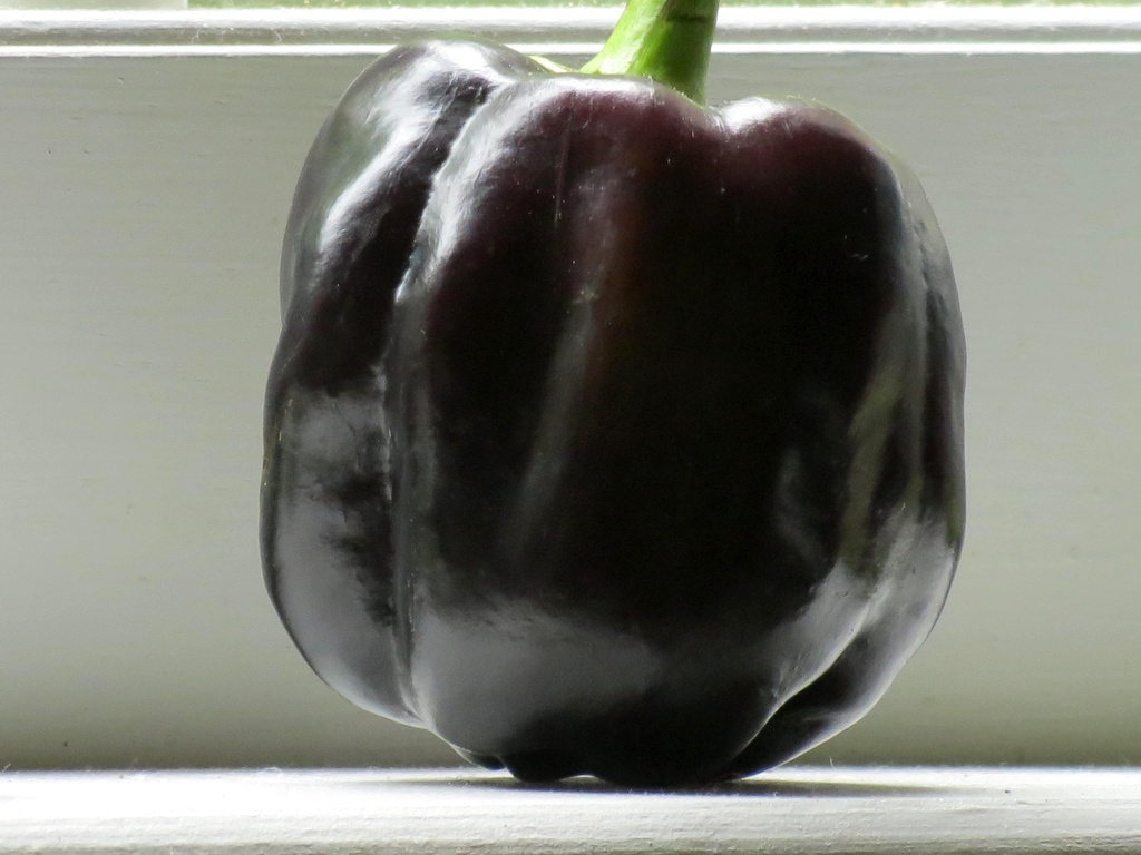 A Peck of Purple Peppers by grammyn