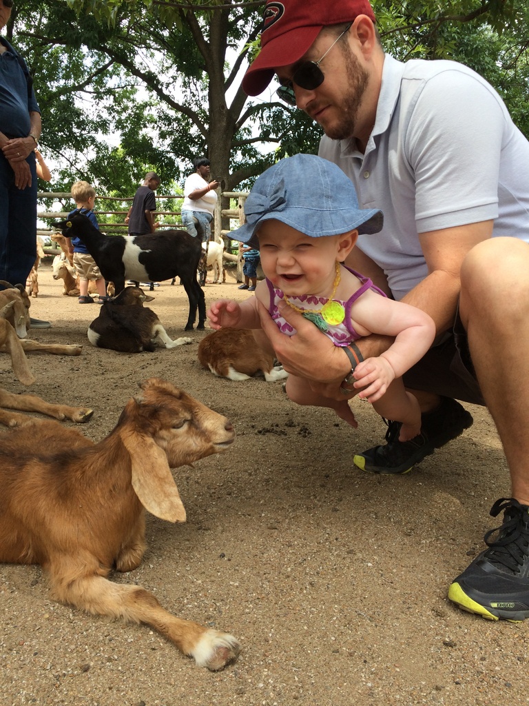 First visit to Grant's Farm, and first time petting a goat.  by doelgerl