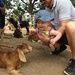 First visit to Grant's Farm, and first time petting a goat.  by doelgerl