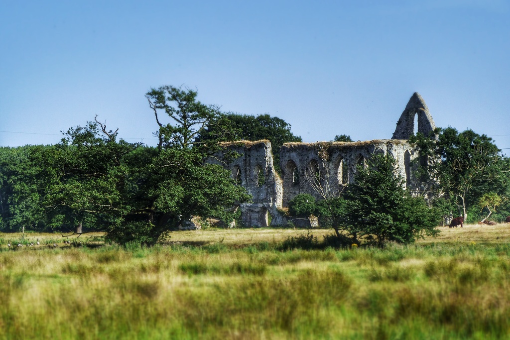 Newark Priory (one of my favourite places) by mattjcuk