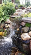 18th Jul 2014 - Water feature
