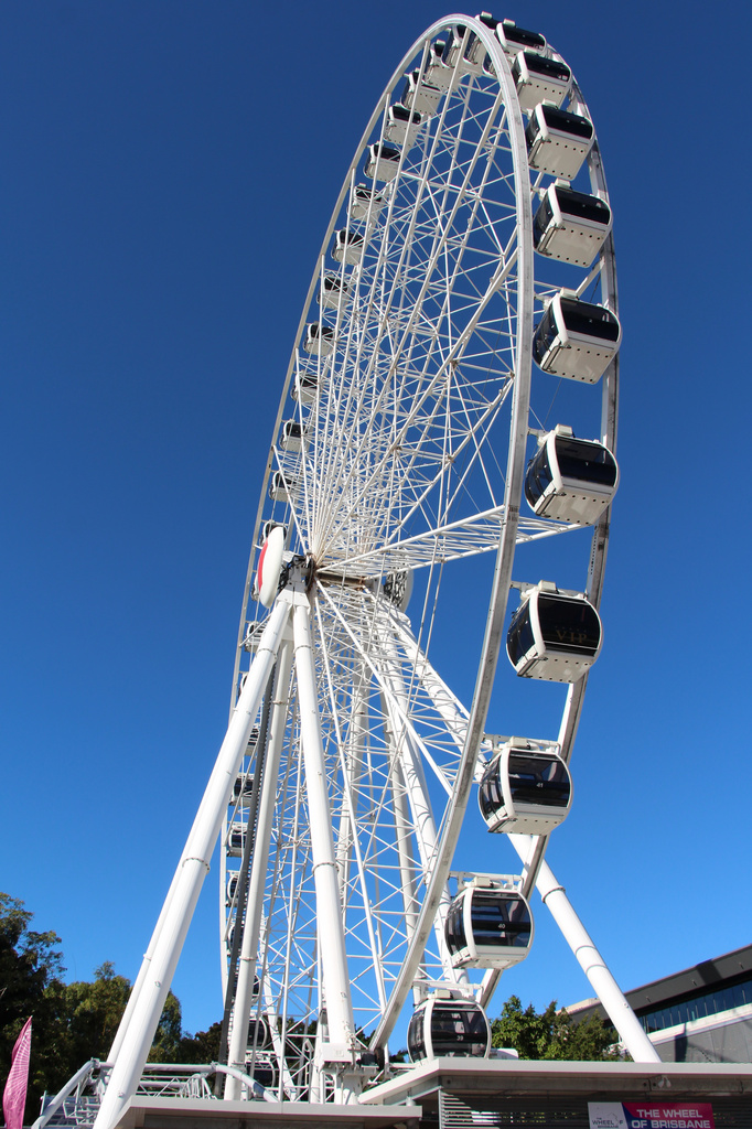 The Brisbane Wheel by terryliv