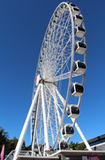 19th Jul 2014 - The Brisbane Wheel