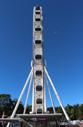 19th Jul 2014 - My Brisbane 31 - The Brisbane Wheel