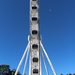 My Brisbane 31 - The Brisbane Wheel by terryliv