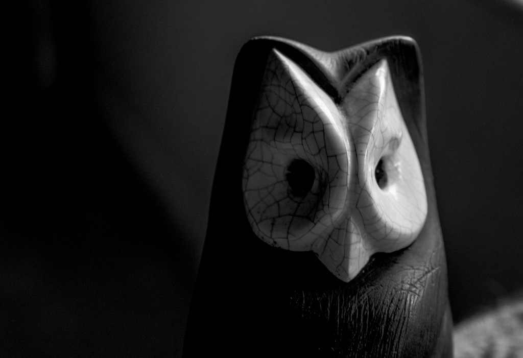 Owl Dark by houser934