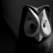 Owl Dark by houser934