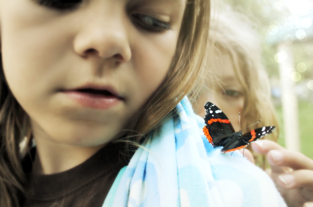 butterfly by edie
