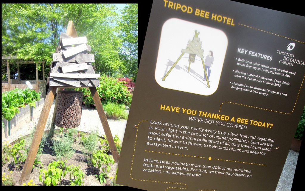 Tripod Bee Hotel by bruni