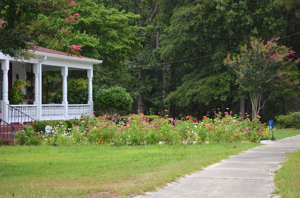 Old house, porch and zinnias, Eutawville, SC by congaree