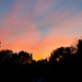 Norfolk sky by manek43509
