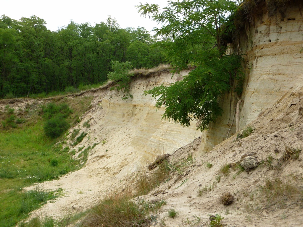 Sand quarry by gabis