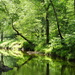 South Fork Quantico Creek by khawbecker