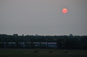 20th Jul 2014 - Train, Bales, and Morning Sun
