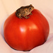 Bucket List- Frog on a tomato-Check by cjwhite