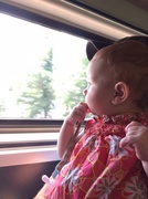 18th Jul 2014 - First train ride, watching the world go by