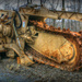Big rusty machine by mittens