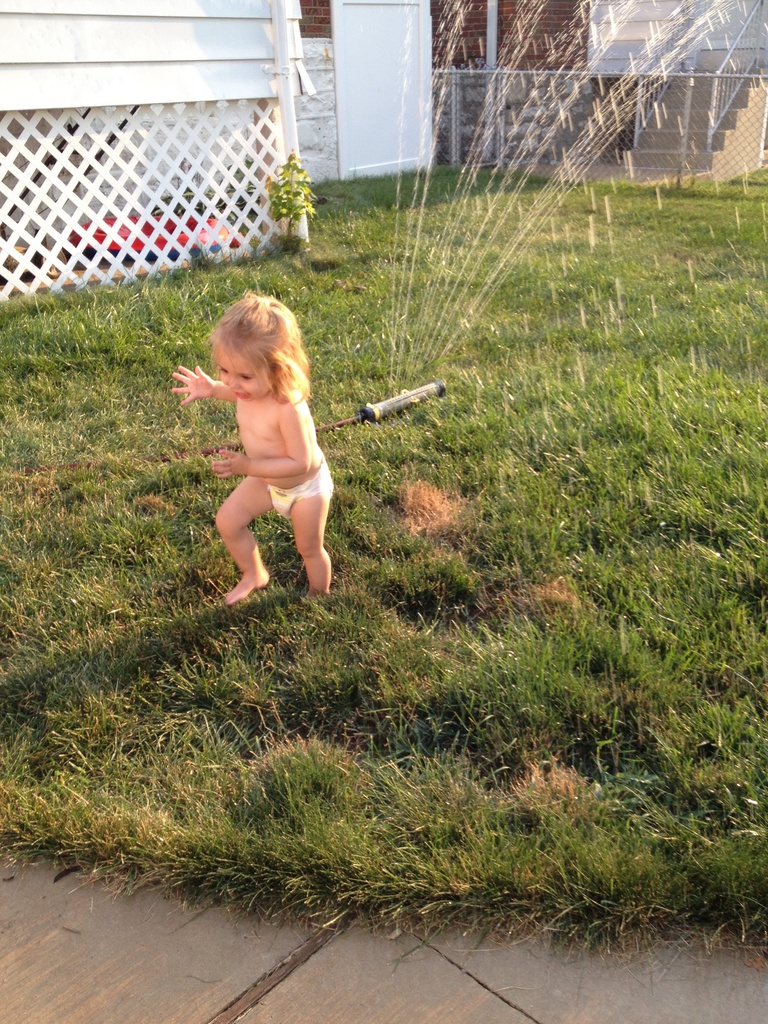 What better to do on a hot day than run through a sprinkler  by mdoelger