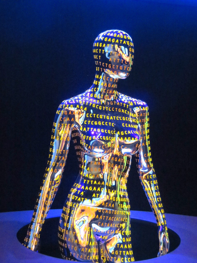 Human Genome Exhibit by margonaut