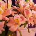Anniversary Flowers by bjywamer