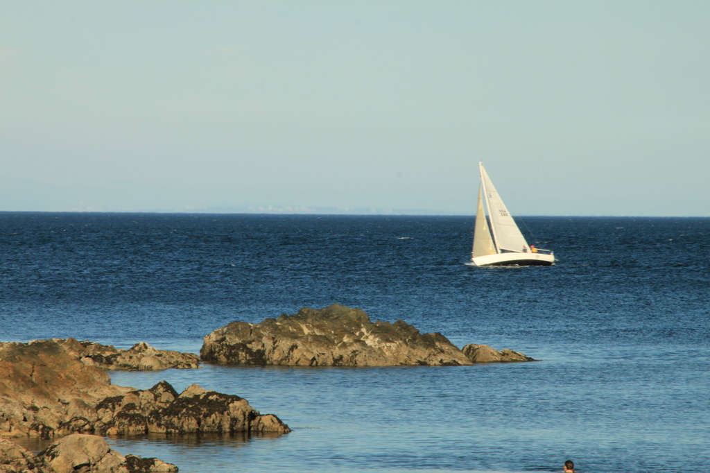 Sailing Off Neck Point by kathyo