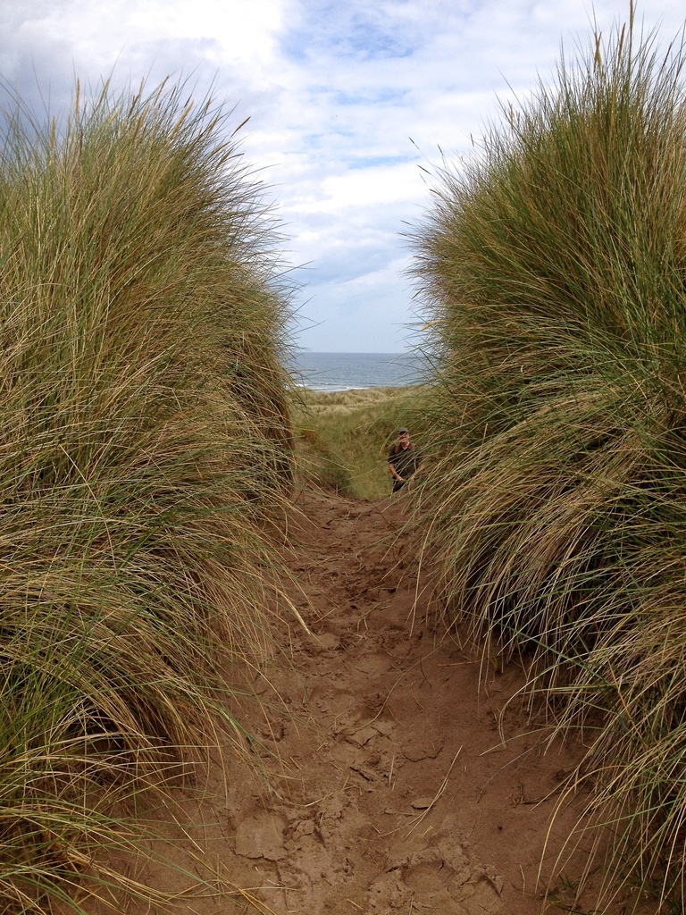 Walking through the dunes by helenmoss