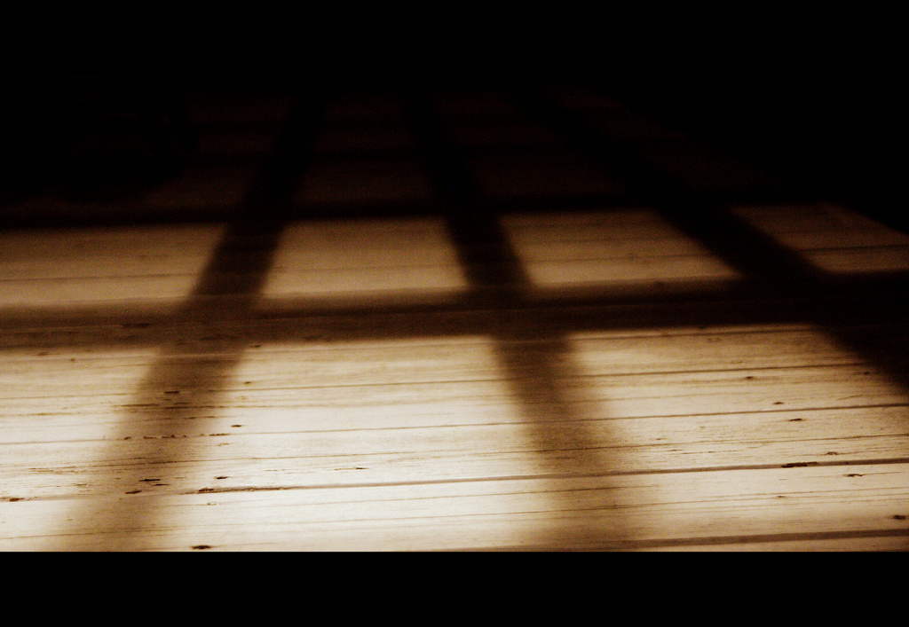 Day 197:  Shadows on the Deck by sheilalorson