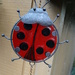 Ladybug by brillomick