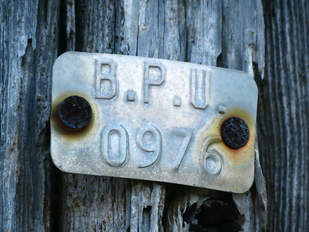 BPU Tag by juliedduncan