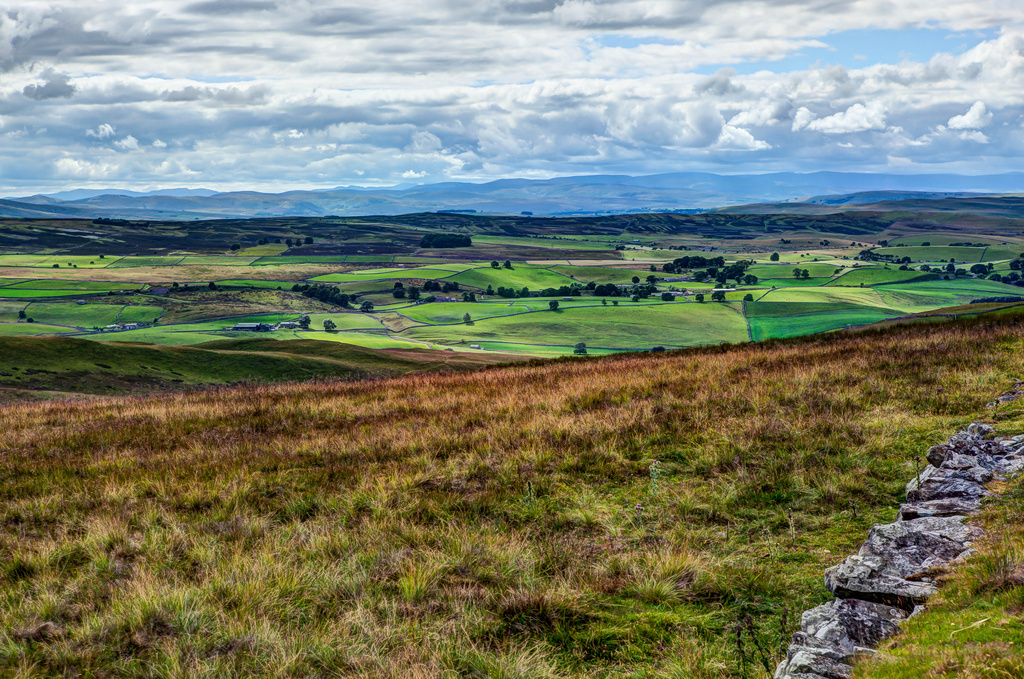 23rd July 2014 -The edge of the Moors by pamknowler