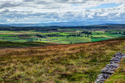 23rd Jul 2014 - 23rd July 2014 -The edge of the Moors