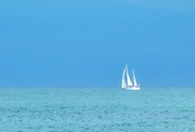 24th Jul 2014 - Sailing between sky and sea