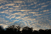 24th Jul 2014 - Morning Clouds