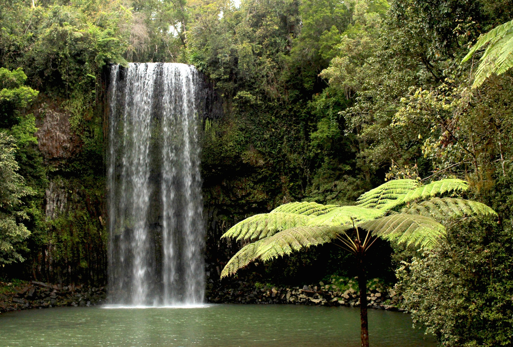 Mareeba Falls by kiwinanna