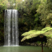 Mareeba Falls by kiwinanna