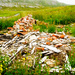Ruin by elisasaeter