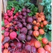 A Rainbow of Radishes by allie912