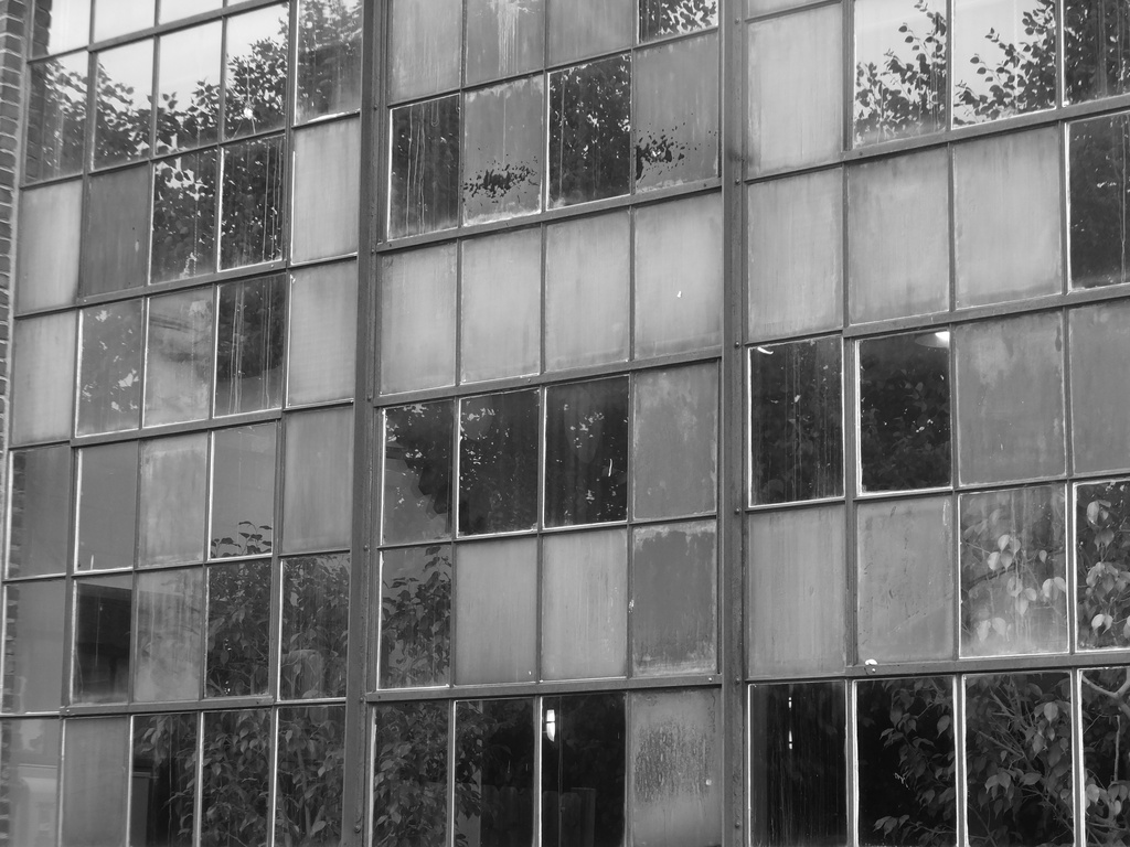 Working Class Windows by linnypinny