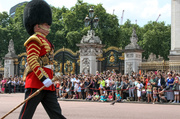 25th Jul 2014 - Changing The Guard
